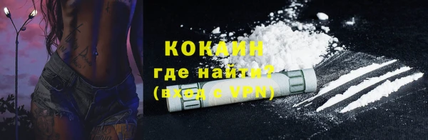стафф Алзамай