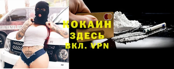 соль ск Алексин