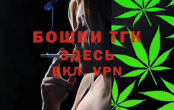 соль ск Алексин